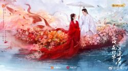 Mùa Hoa Rơi Gặp Lại Chàng