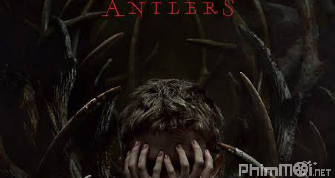 Gạc-Antlers